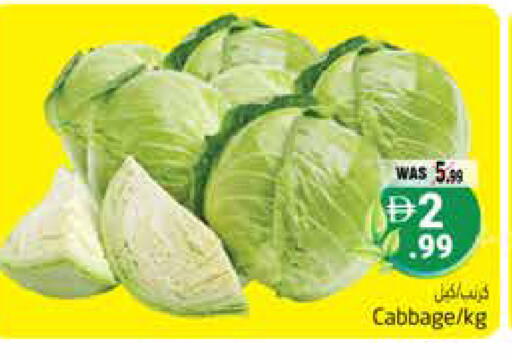 Cabbage available at Pasons Hypermarket in UAE - Al Ain