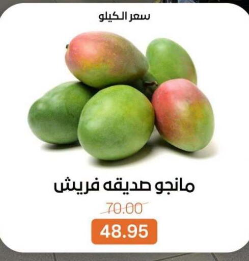 available at بيت الجملة in Egypt - القاهرة