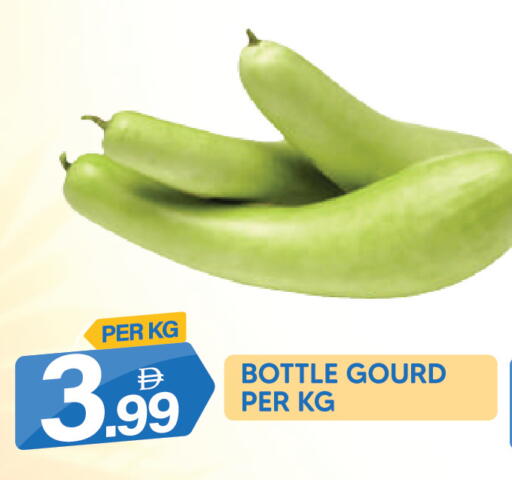 available at دريم لاند in الإمارات العربية المتحدة , الامارات - دبي