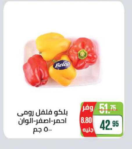 available at سعودي سوبرماركت in Egypt - القاهرة