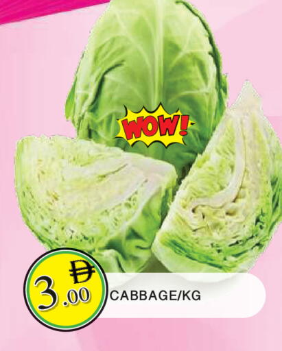 Cabbage available at المدينة in الإمارات العربية المتحدة , الامارات - الشارقة / عجمان