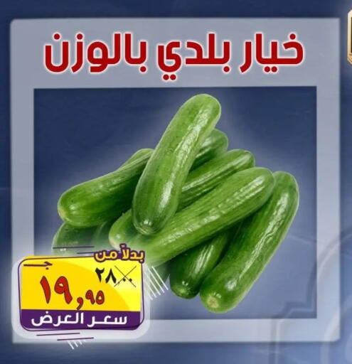 available at الصردي جملة ماركت in Egypt - القاهرة