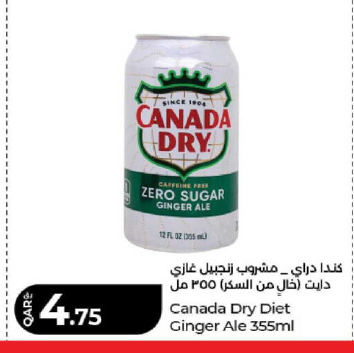 Ginger available at لولو هايبرماركت in قطر - الشحانية