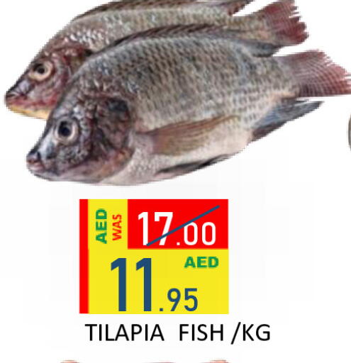 available at ROYAL GULF HYPERMARKET LLC in UAE - Abu Dhabi