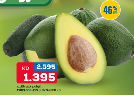 Avocado from Kenya available at Oncost in Kuwait - Kuwait City