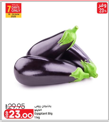 Eggplant available at Lulu Hypermarket  in Egypt - Cairo