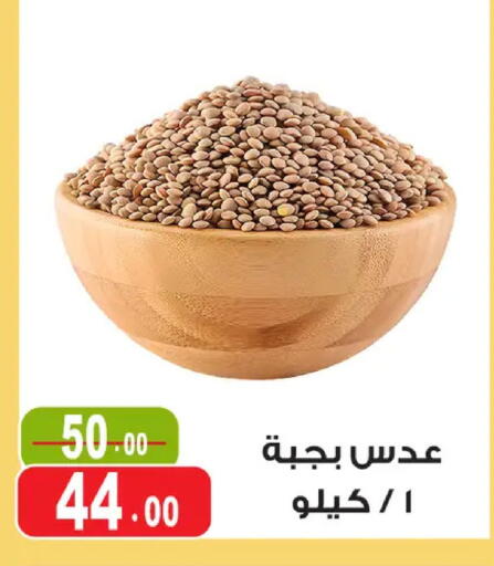 available at غنيم ماركت in Egypt - القاهرة