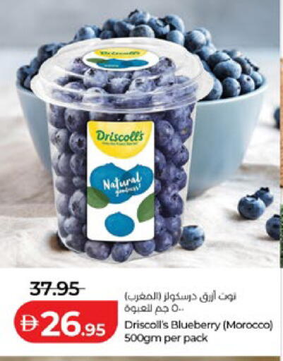 Blueberry BlueBerry from Morocco available at Lulu Hypermarket in UAE - Abu Dhabi