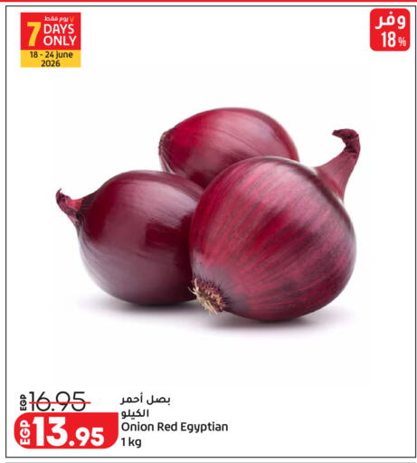 Onion from Egypt available at Lulu Hypermarket  in Egypt - Cairo