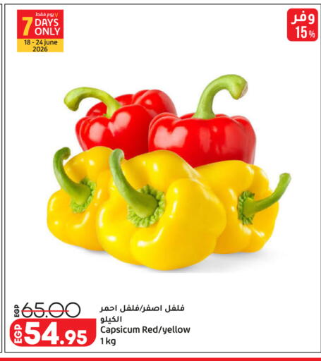 Capsicum available at Lulu Hypermarket  in Egypt - Cairo