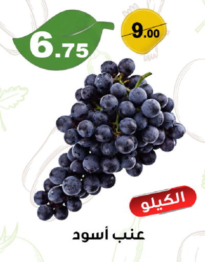 available at Smart Shopper in KSA, Saudi Arabia, Saudi - Abha