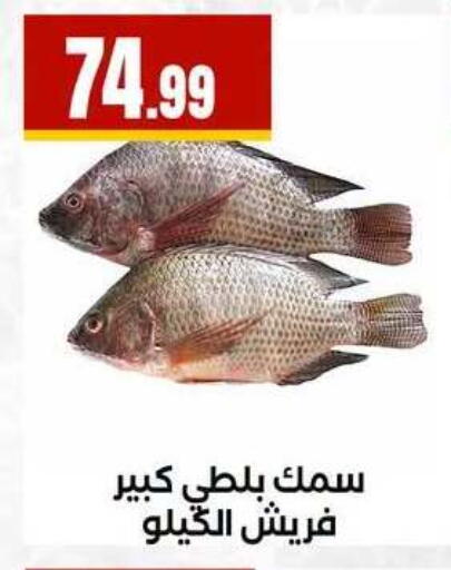 available at MartVille in Egypt - Cairo
