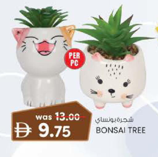 available at ك. الم. للتجارة in الإمارات العربية المتحدة , الامارات - الشارقة / عجمان