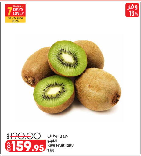 Kiwi from Italy available at Lulu Hypermarket  in Egypt - Cairo