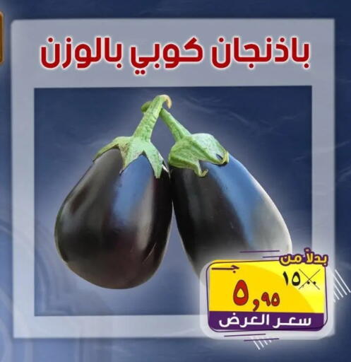 available at الصردي جملة ماركت in Egypt - القاهرة