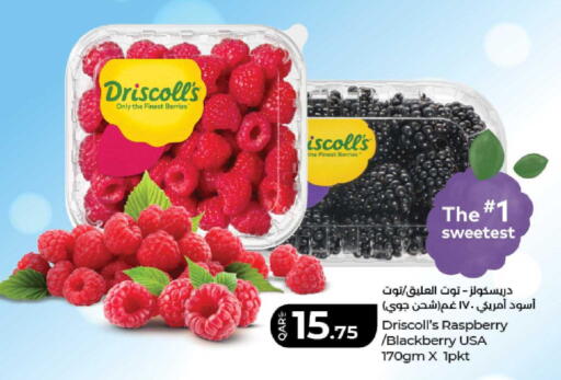 Raspberry Blackberry available at لولو هايبرماركت in قطر - الريان