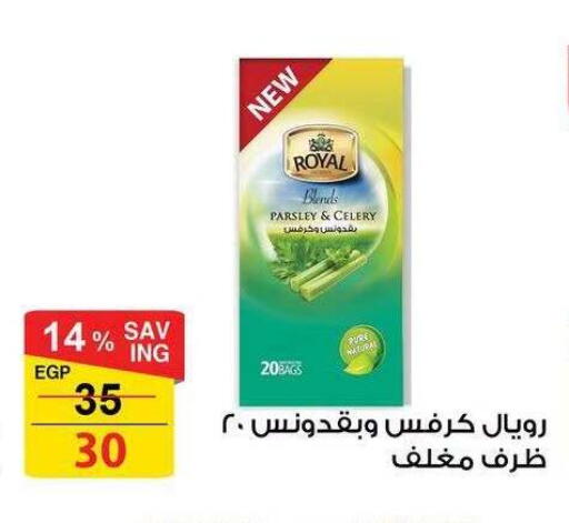 Parsley Celery available at فتح الله in Egypt - القاهرة