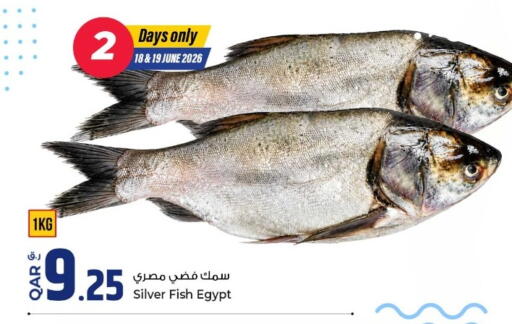 available at Rawabi Hypermarket in Qatar - Al Shamal
