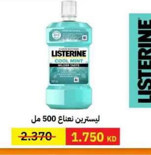 Mint available at جمعية مدينة صباح الأحمد التعاونية in الكويت - مدينة الكويت