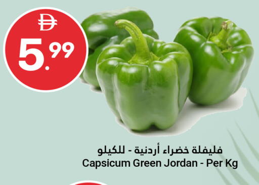 Capsicum from Jordan available at جراند الإمارات للتسوق in الإمارات العربية المتحدة , الامارات - أبو ظبي