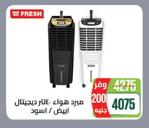 available at سعودي سوبرماركت in Egypt - القاهرة