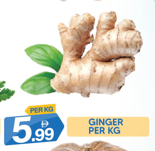 Ginger available at دريم لاند in الإمارات العربية المتحدة , الامارات - دبي