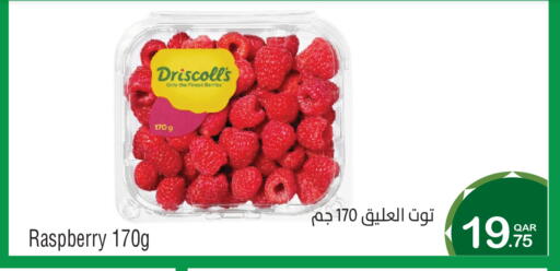 Raspberry available at ميغا مارت in قطر - الشحانية