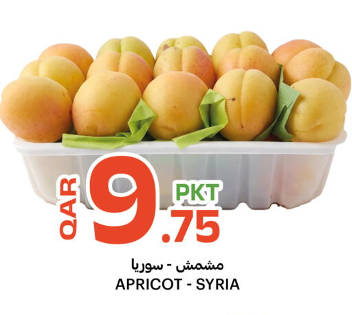 Apricot from Syria available at البلدي اليوم in قطر - أم صلال
