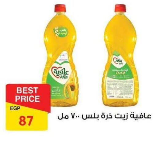 available at فتح الله in Egypt - القاهرة