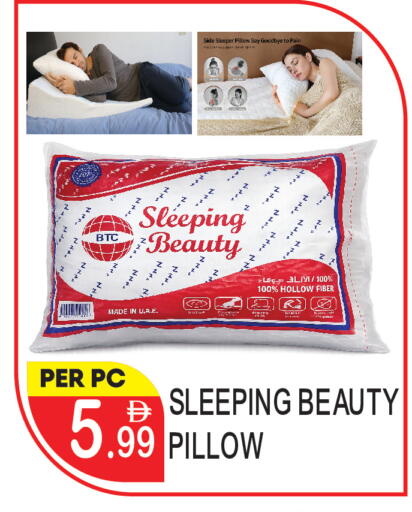 available at دريم لاند in الإمارات العربية المتحدة , الامارات - دبي