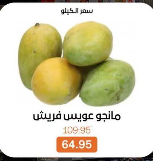 available at بيت الجملة in Egypt - القاهرة
