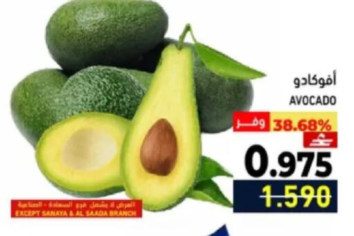 Avocado available at رامز in عُمان - مسقط‎
