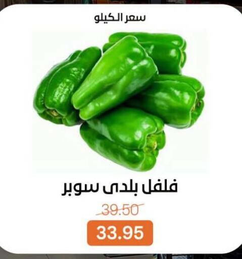 available at بيت الجملة in Egypt - القاهرة