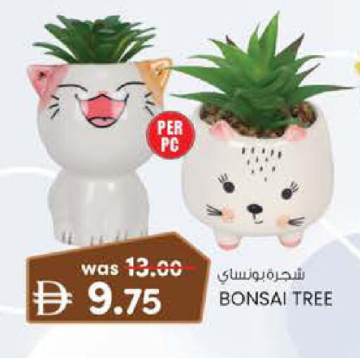 available at صفا هايبر in الإمارات العربية المتحدة , الامارات - ٱلْعَيْن‎