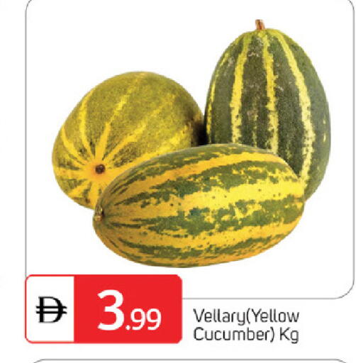 Cucumber available at سوق طلال in الإمارات العربية المتحدة , الامارات - الشارقة / عجمان