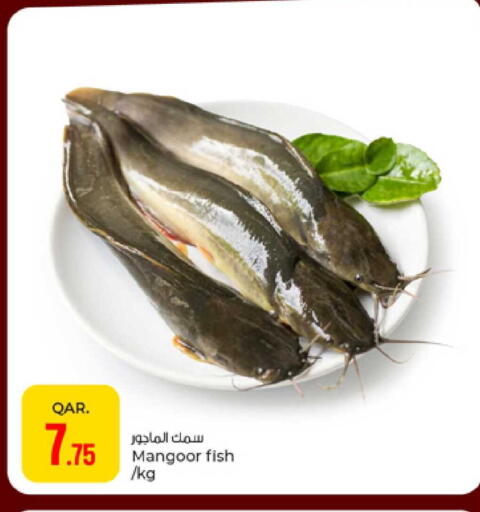 available at باريس هايبرماركت in قطر - أم صلال