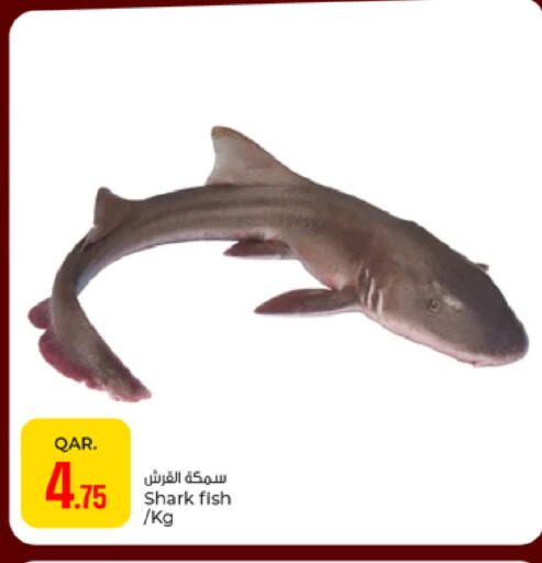 available at باريس هايبرماركت in قطر - أم صلال