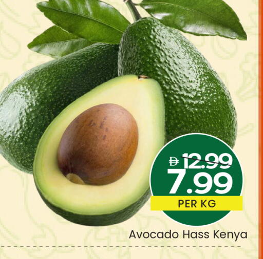 Avocado from Kenya available at Mark & Save in UAE - Dubai