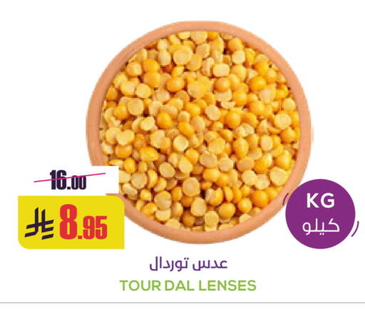 available at سبت in مملكة العربية السعودية, السعودية, سعودية - بريدة