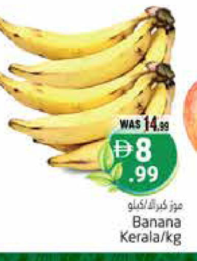 Banana available at هايبر ماركت باسونز in الإمارات العربية المتحدة , الامارات - ٱلْعَيْن‎