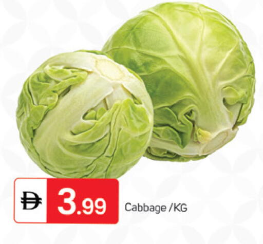 Cabbage available at سوق طلال in الإمارات العربية المتحدة , الامارات - الشارقة / عجمان
