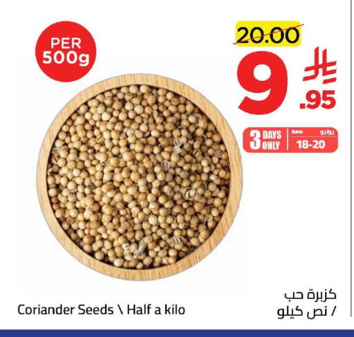 Coriander available at وهج مارت in مملكة العربية السعودية, السعودية, سعودية - جدة
