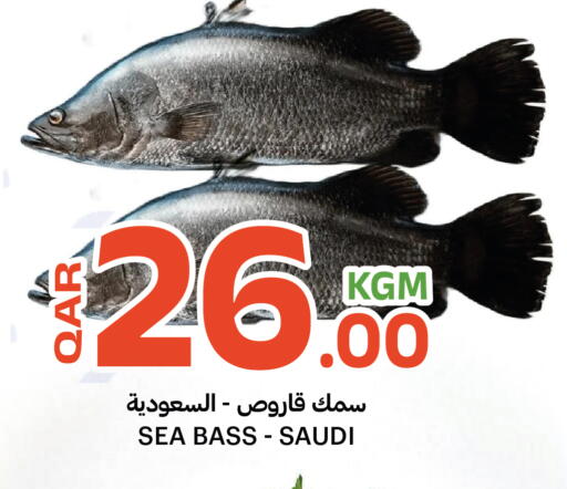 available at البلدي اليوم in قطر - الشمال