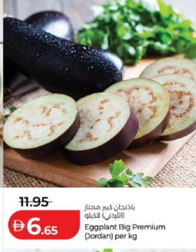 Eggplant from Jordan available at Lulu Hypermarket in UAE - Al Ain