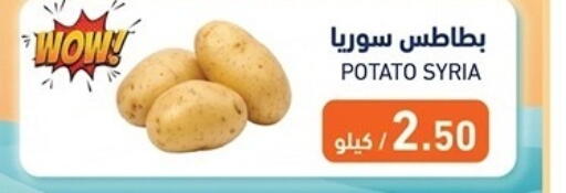 Potato from Syria available at Aswaq Ramez in Qatar - Doha