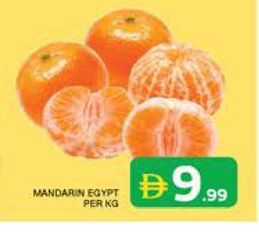 from Egypt available at Seven Emirates Supermarket in UAE - Abu Dhabi
