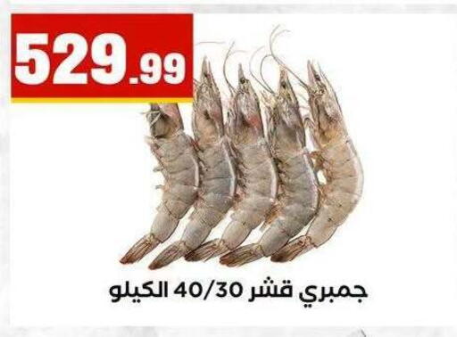 available at MartVille in Egypt - Cairo