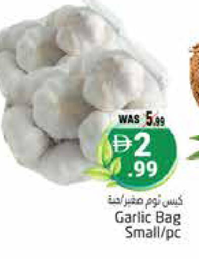 Garlic available at Pasons Hypermarket in UAE - Al Ain
