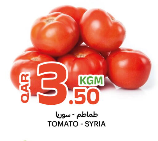 Tomato from Syria available at البلدي اليوم in قطر - الوكرة