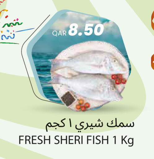 available at مجموعة ريجنسي in قطر - الشمال